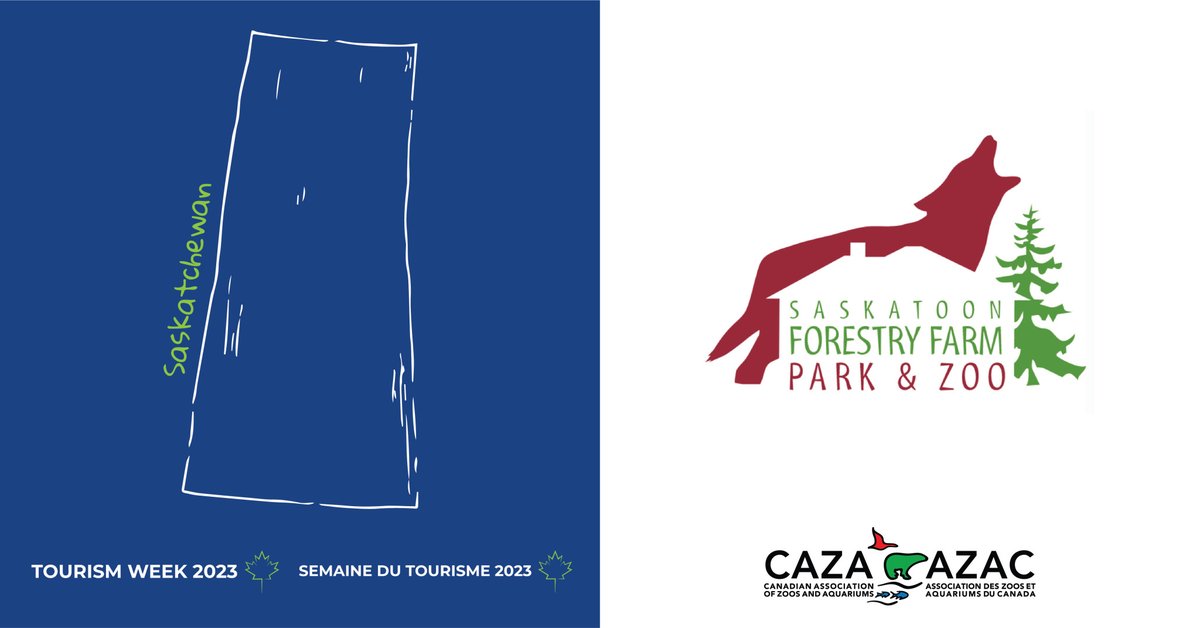 CAZA-AZAC (@caza_azac) on Twitter photo This summer, when you’re planning your family holidays – add one of Canada’s Accredited Zoos and Aquariums to your to-do list!
If you’re in Saskatchewan, or planning to visit – plan a trip to:
#CAZA #AccreditationMatters #TourismWeekCanada2023
#TourismWeek2023 <a href="/TIAC_AITC/">The Tourism Industry Association of Canada</a> This summer, when you’re planning your family holidays – add one of Canada’s Accredited Zoos and Aquariums to your to-do list!
If you’re in Saskatchewan, or planning to visit – plan a trip to:
#CAZA #AccreditationMatters #TourismWeekCanada2023
#TourismWeek2023 <a href="/TIAC_AITC/">The Tourism Industry Association of Canada</a>