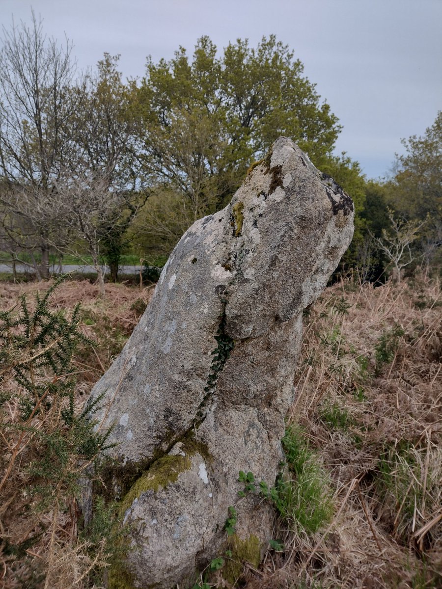 ThiChaplain's tweet photo. Pas le menhir le plus connu des Landes de Locarn pourtant il est à quelques dizaines de mètres de la RD reliant #Locarn à #SaintNicodème https://t.co/ajvnljPKfe