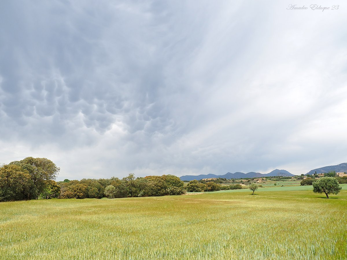 aelduque's tweet photo. Mammatus al mediodía, camino del embalse de #Vadiello, que da pena verlo... En cuatro días los campos van a estar amarillos 😟... #Barluenga, #Loporzano, #HoyadeHuesca, #Huesca, #Aragón, #Spain. https://t.co/mnsbQ38i11
