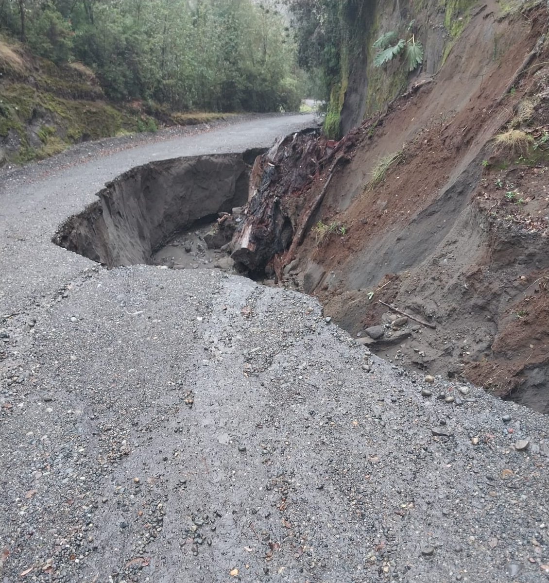 erchiloe's tweet photo. 𝗨́𝗟𝗧𝗜𝗠𝗢  𝗠𝗜𝗡𝗨𝗧𝗢 🚨 𝗗𝗔𝗟𝗖𝗔𝗛𝗨𝗘 
Unidades de emergencias verifican situación por socavón de tierra en el sector #Carihueico.
📷 https://t.co/KYyrXh0Uyl 
[En Desarrollo]
@TTILosLagos @GrupoWurtlitzer @Pedrodiver  @pera334 @radioquellon @BorquezRafael https://t.co/BZp5lMNxvS