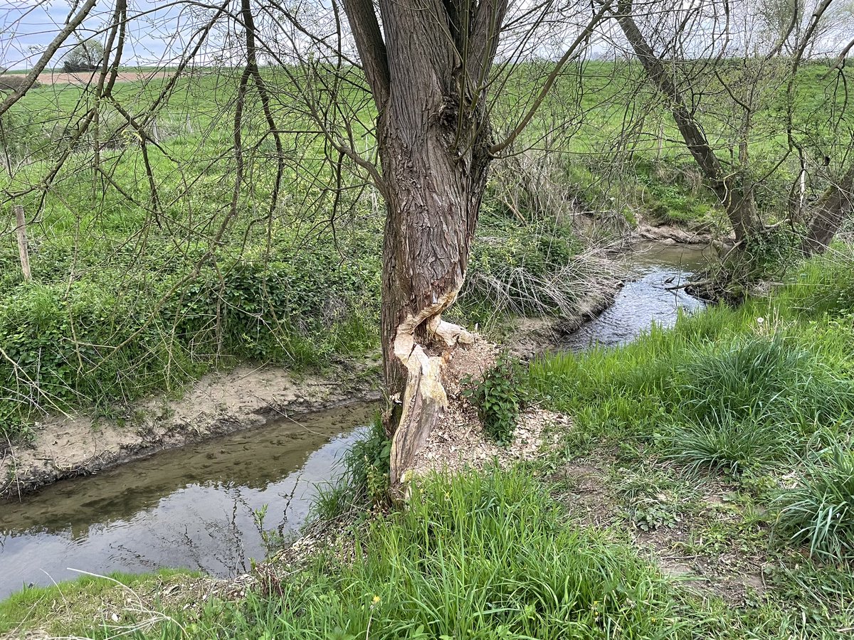 Wederom een weekje uitwaaien in het fraaie Zuid-Limburg. Nergens in Nederland kom je deze fantastische combinatie van natuur, landschap, cultuur en gastvrijheid tegen. @magnifiekZL