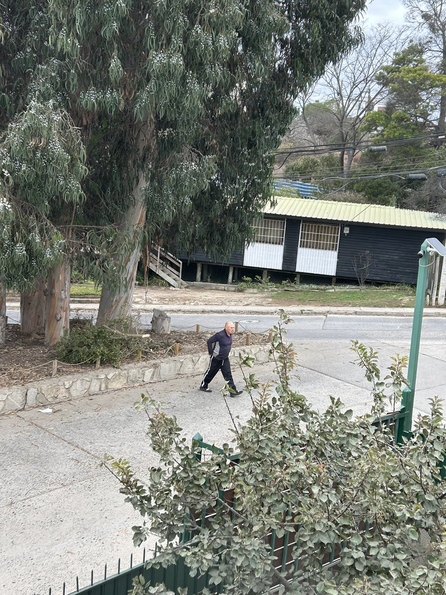 Maite Orozco tweet media