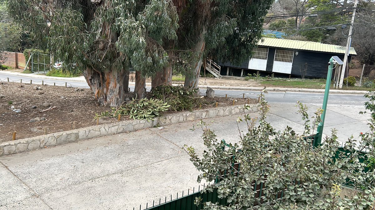 Maite Orozco tweet media