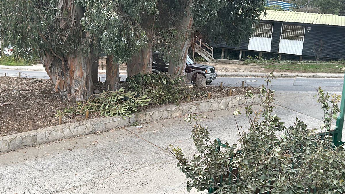 Maite Orozco tweet media