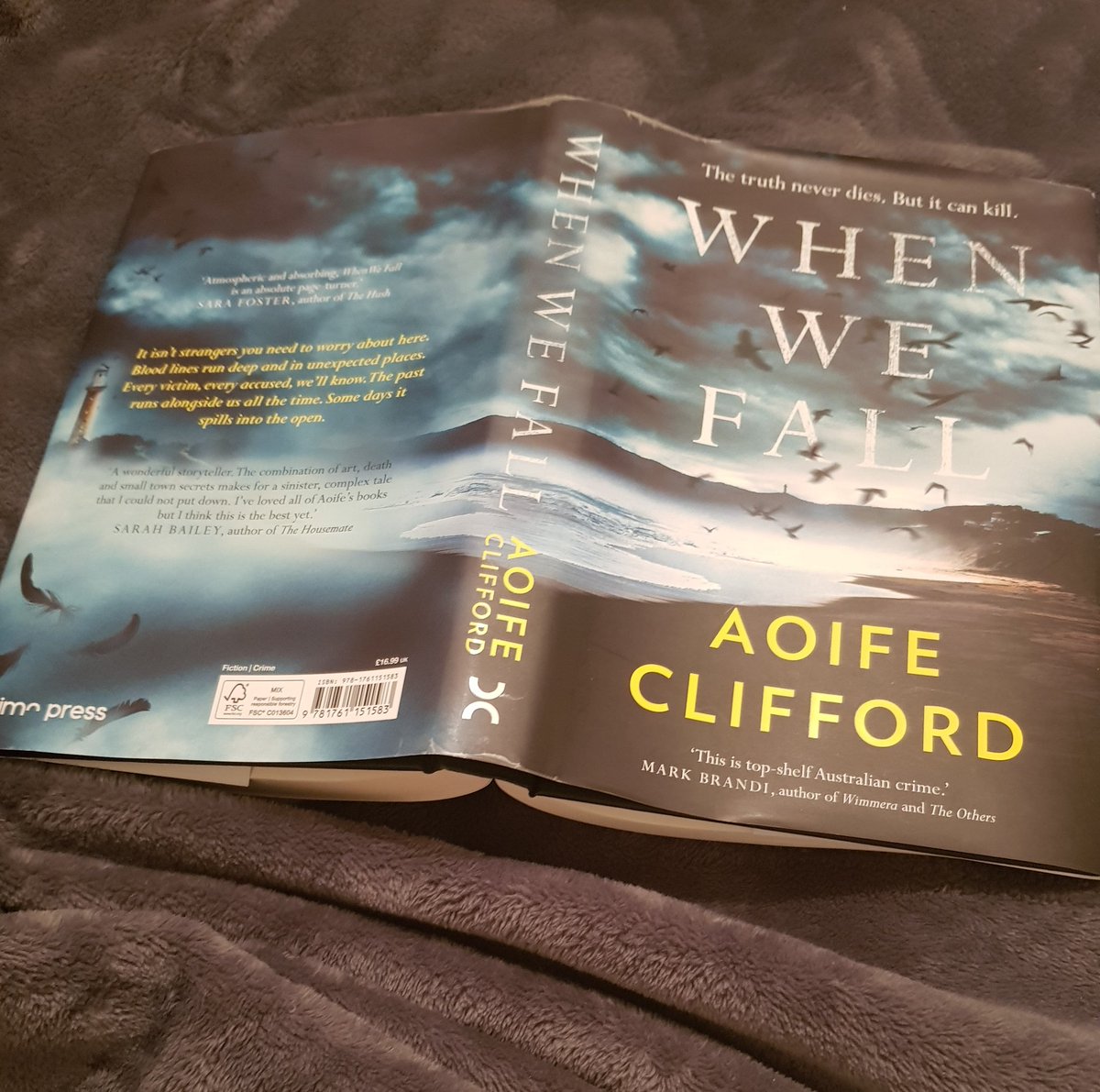 Currently enjoying this...#WhenWeFall @aoifejclifford #blogtour #Australian #crimefic...what are you reading this weekend?