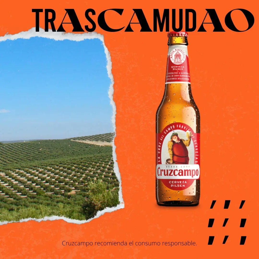 PodcastoPocca's tweet photo. Cerveceros, ¿conocéis Jaén?🤔

Una provincia donde las religiones cristiana, judía y musulmana se unen para crear algo único.
Donde puedes perderte entre Catedrales y Castillos.
Donde su oro se convierte en aceite.

Simplemente Jaén 🫒
#Jaen #ConMuchoAcento https://t.co/9FZZhV1iuH