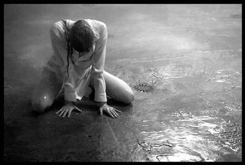 Novelicious tweet media