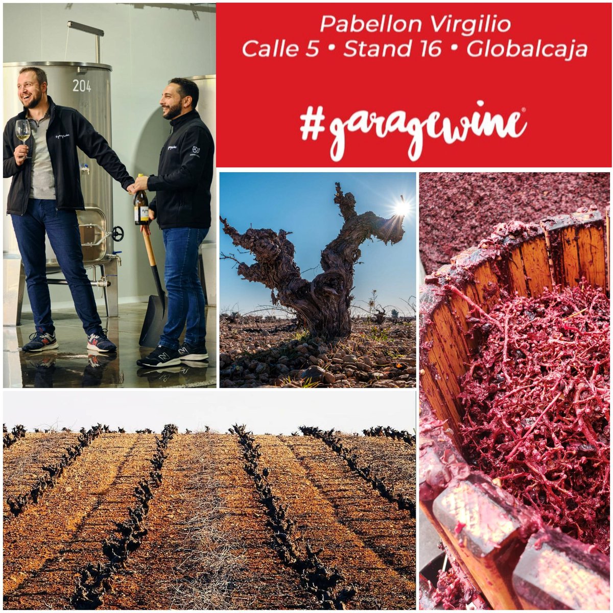 #Garagewine Pabellón VIRGILIO, Pasillo 5 Stand 16 Globalcaja #fenavin2023 #artisanwineattraction