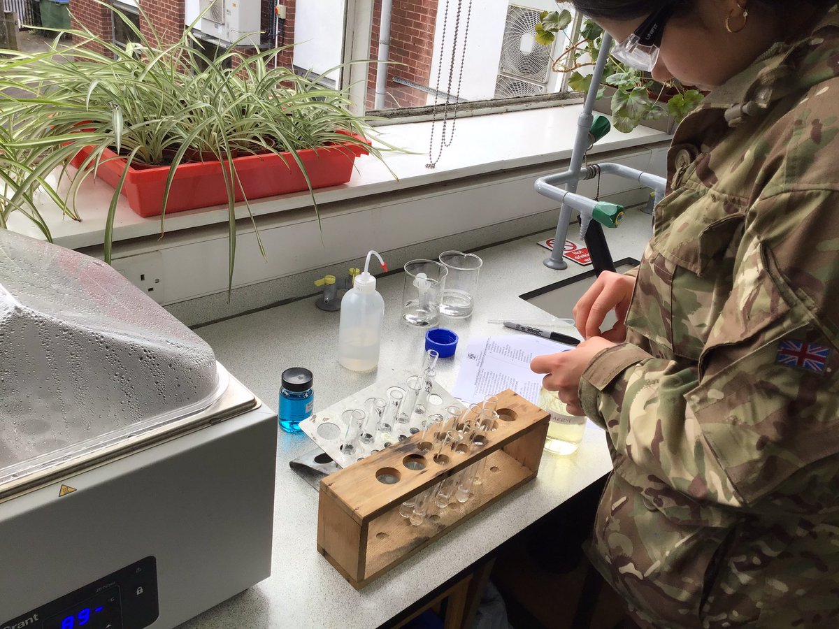 ExSchBio's tweet photo. How did time fly so fast? Our amazing U6 did their final biology practical today! 😢 Immensely proud to see the progress in their practical skills. @ExeterSchoolUK #requiredpractials #education #scienceteacher @chatbiology https://t.co/kfUbcbdHny