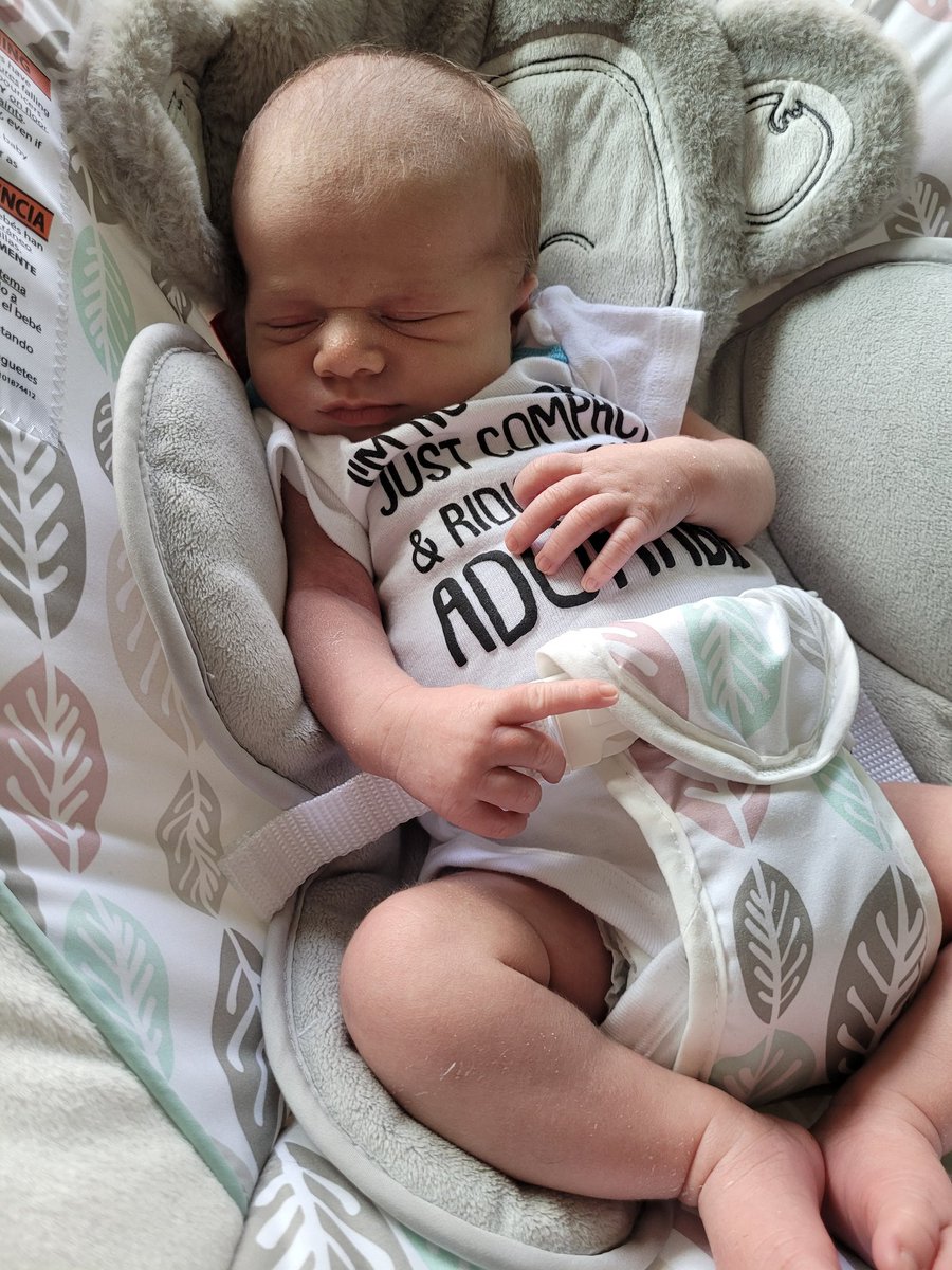 Tofu on Twitter "Ladies and gentlemen, I present to you Tofu Junior (my son Malachi; born