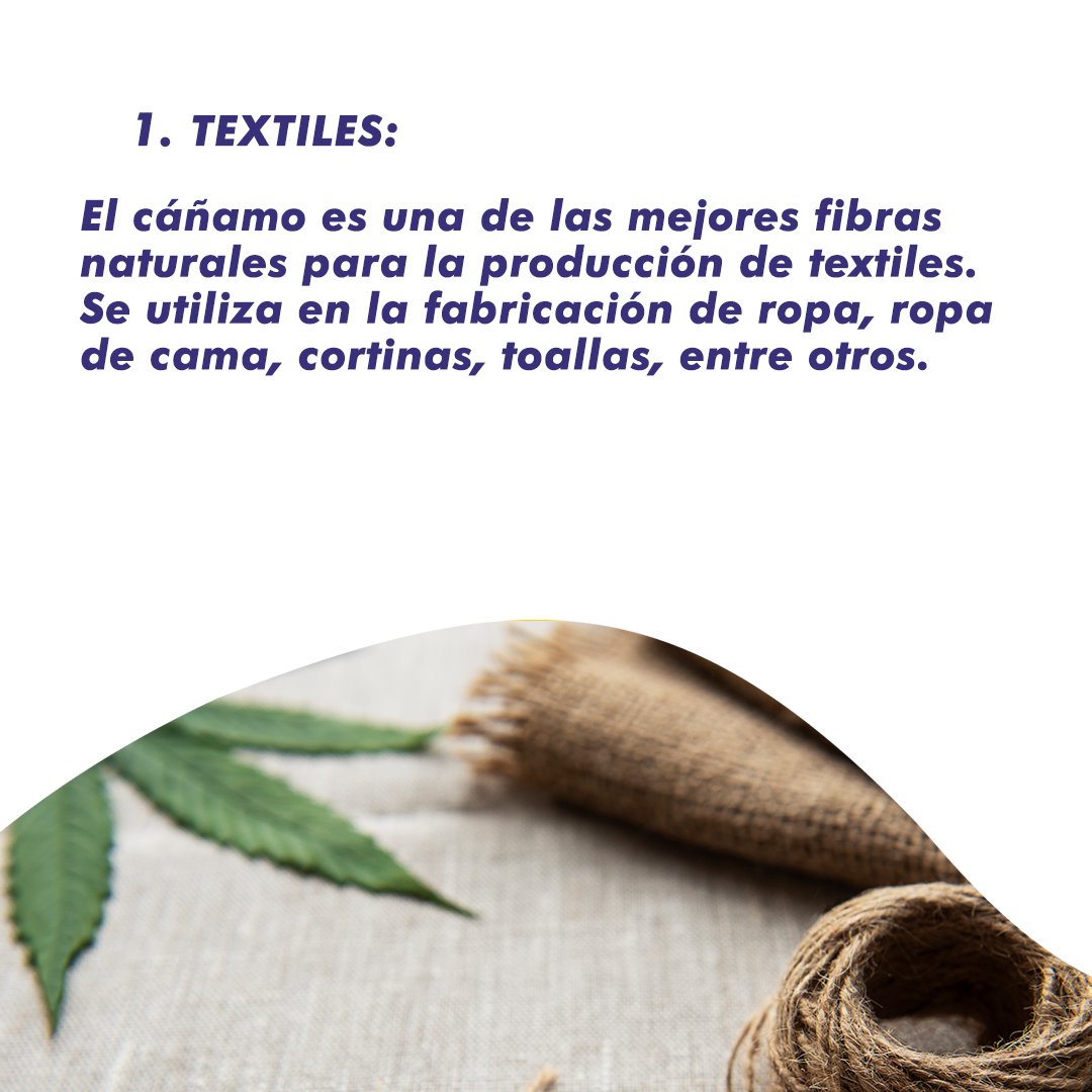 CodasHernan's tweet photo. ¿Sabías que se puede hacer papel de cañamo? 😯🌱

Son múltiples las utilidades del cáñamo que pueden generar ingresos económicos para las familias trabajadoras.
#CodasSenador #ElCambioYaLlega https://t.co/wawNcp5M52