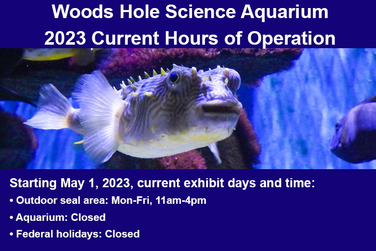 NOAAFish_NEFSC's tweet photo. Our Woods Hole Science Aquarium building will be closed to the public beginning May 1, 2023. Recent structural assessment noted deterioration in the basement and recommended repairs. Outdoor seal area will remain open to the public. Details: https://t.co/0TyoqBWjLi. https://t.co/TvrNX3QOHw