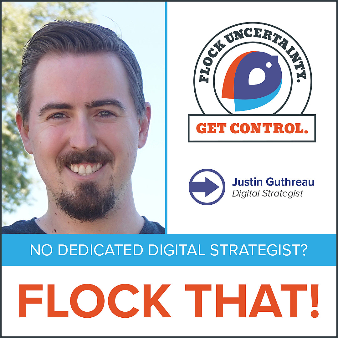 Our Digital Strategists go over reporting with you, provide follow-up lead lists, discuss initiatives, and plan for the future. Learn how your dealership can soar today with 3 Birds: zurl.co/AQ7f #dealershipmarketing #cdp #cdxp #digitalstrategist #automotivenews