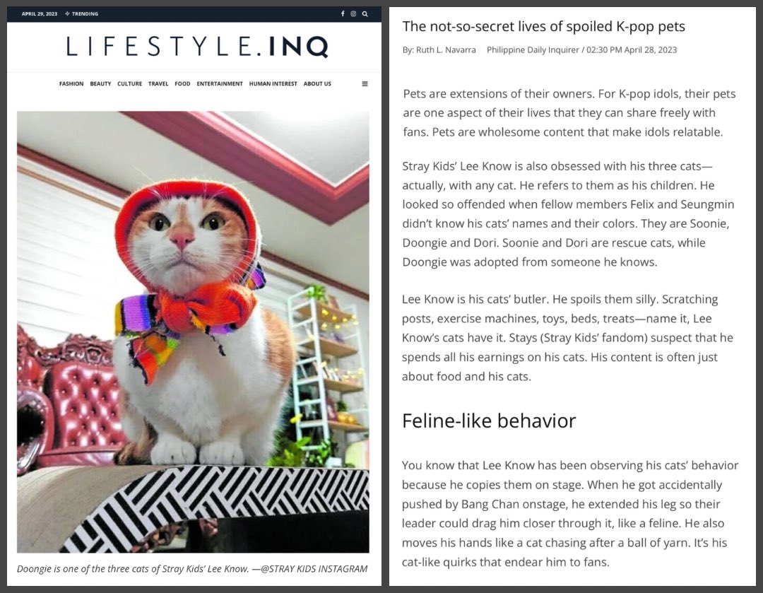 AboutLeeKnow_'s tweet photo. | 📰 Lifestyle Inquirer |

Lee Know with Soondongdori feature on
“The not-so-secret lives of spoiled K-pop pets”

🔗https://t.co/FaFfnvdM3H

🔗https://t.co/2NSd271QYi 

#리노 #LeeKnow #リノ #李旻浩 https://t.co/nFpUtZZgnn