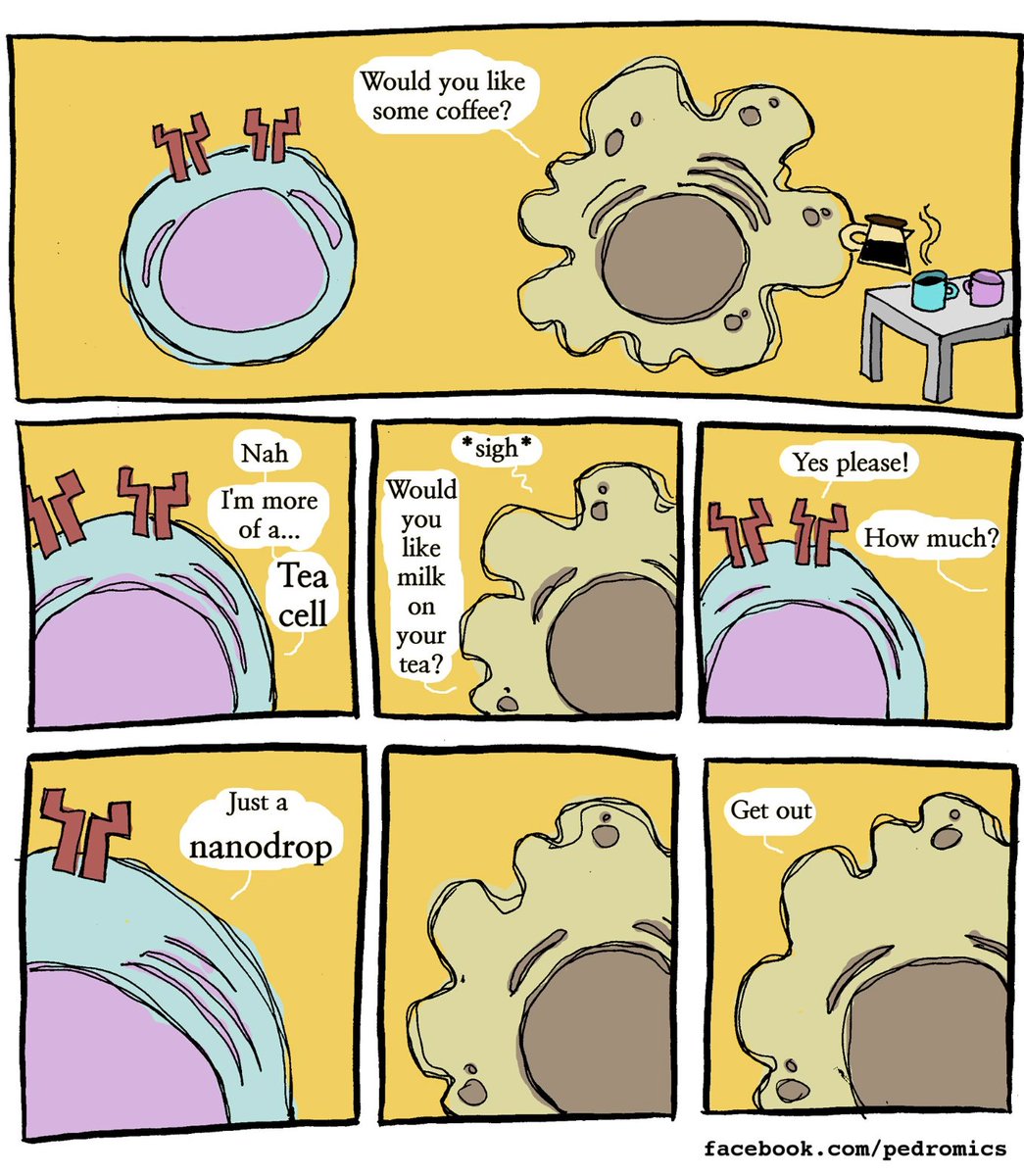 BioChain's tweet photo. Meanwhile, in the lymph node.
#fridayfun #sciencefun #goodnews #science #friday #lablife #fridaymood #labvibe #sciencehumor #biology #laboratory #biotechfun  #health #biotechnology #biotech
Image Credit: Pedromics https://t.co/2PZudAox7T