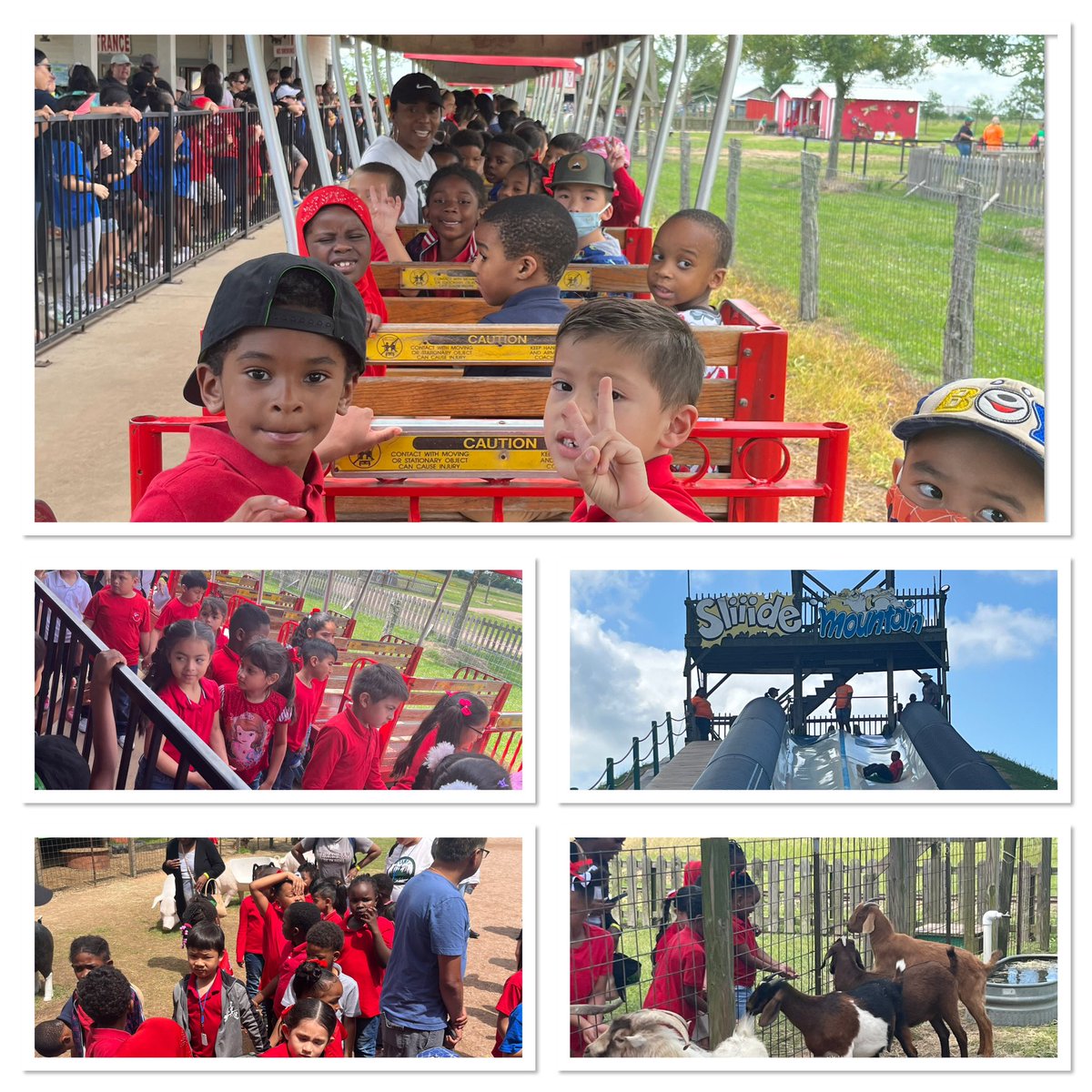 Dana Bluncson tweet media