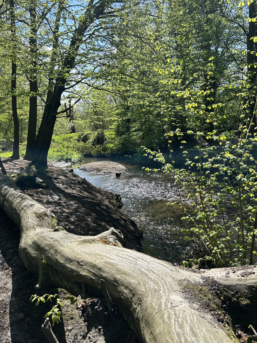 Langs de Anstelerbeek #Kerkrade ⁦<a href="/magnifiekZL/">Magnifiek Zuid-Limburg</a>⁩ #dutchmountaintrail