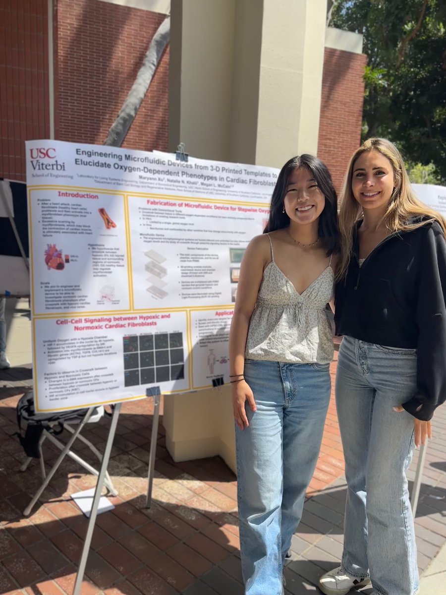 So proud of my mentee Maryann Xu for mastering microfabrication and cell culture as a freshman! Her hard work is on display at the CURVE symposium near VHE today