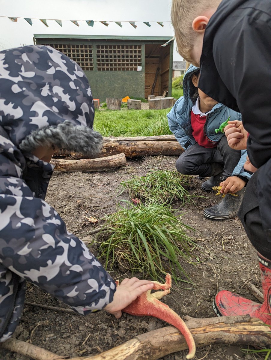 Reception have enjoyed taking their dinosaur topic outside. We've made fossils, made dinosaur swaps and been archaeologist! 🦖🦖🦖🦖#ShineAtShelf