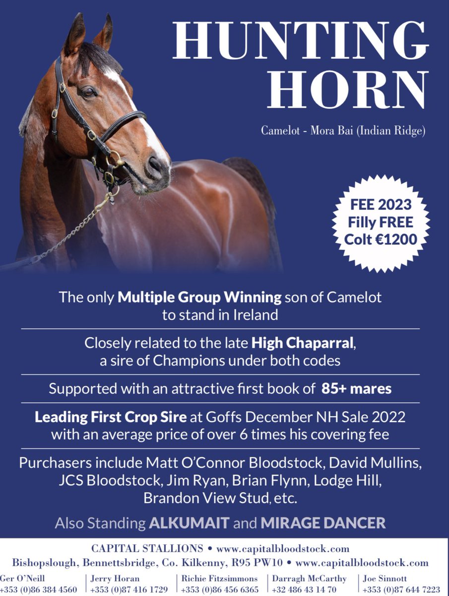 Capital_Stud's tweet photo. HUNTING HORN 🔊 it’s very 
SIMPLE 💡 he’s the best value sire at stud from the MONTJEU sire line.

Call Now📞  086 384 4560 Ger https://t.co/rtYOkff1XW