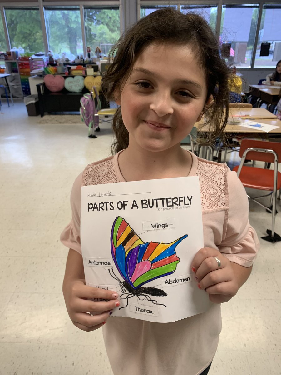 julharr_'s tweet photo. We wrapped up TNReady week by releasing our baby butterflies and lady bugs outside! We sure have enjoyed watching them grow the past few weeks and learning all about them!π₯°ππ¦π #PollinationTime #SharpSecondGraders @WBESbears https://t.co/kMxCJ4wY5h