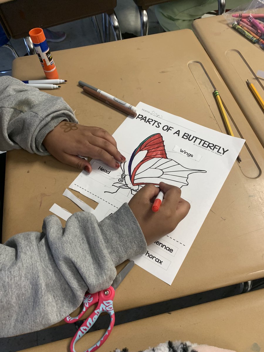 julharr_'s tweet photo. We wrapped up TNReady week by releasing our baby butterflies and lady bugs outside! We sure have enjoyed watching them grow the past few weeks and learning all about them!π₯°ππ¦π #PollinationTime #SharpSecondGraders @WBESbears https://t.co/kMxCJ4wY5h