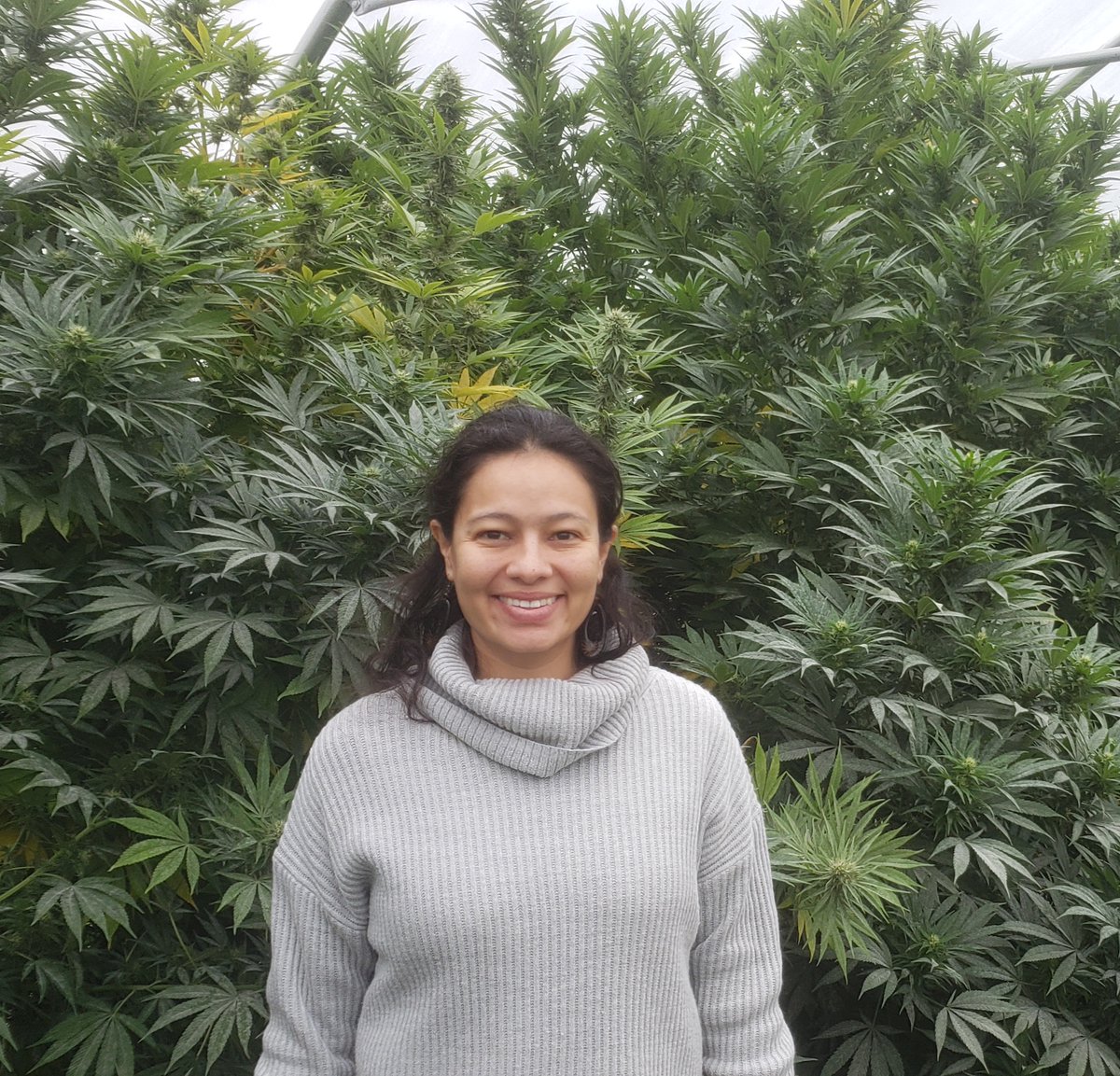 New York's first comprehensive guide to the production of Cannabis sativa, lead author <a href="/CannaBacana/">Dr. Daniela Vergara 6402 ☮️</a> pictured below. 

Link here:

bit.ly/3LDu82c