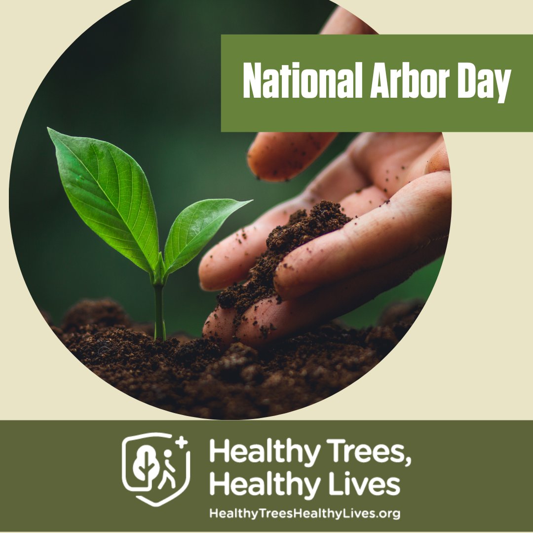 #NationalArborDay is the last Friday in April every year. This holiday celebrates the planting, upkeep and conservation of trees. Celebrate with us by getting outdoors and reaping all the benefits trees provide for our health.  healthytreeshealthylives.org