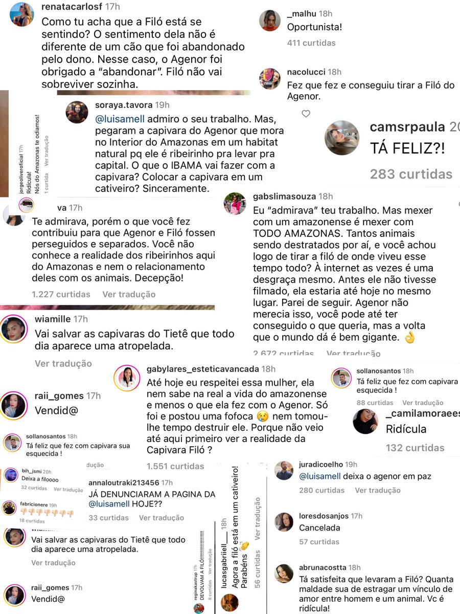 marioadolfo's tweet photo. Luisa Mell tá bem com os amazonenses depois do caso da capivara Filó? https://t.co/hULUB1Gz6c