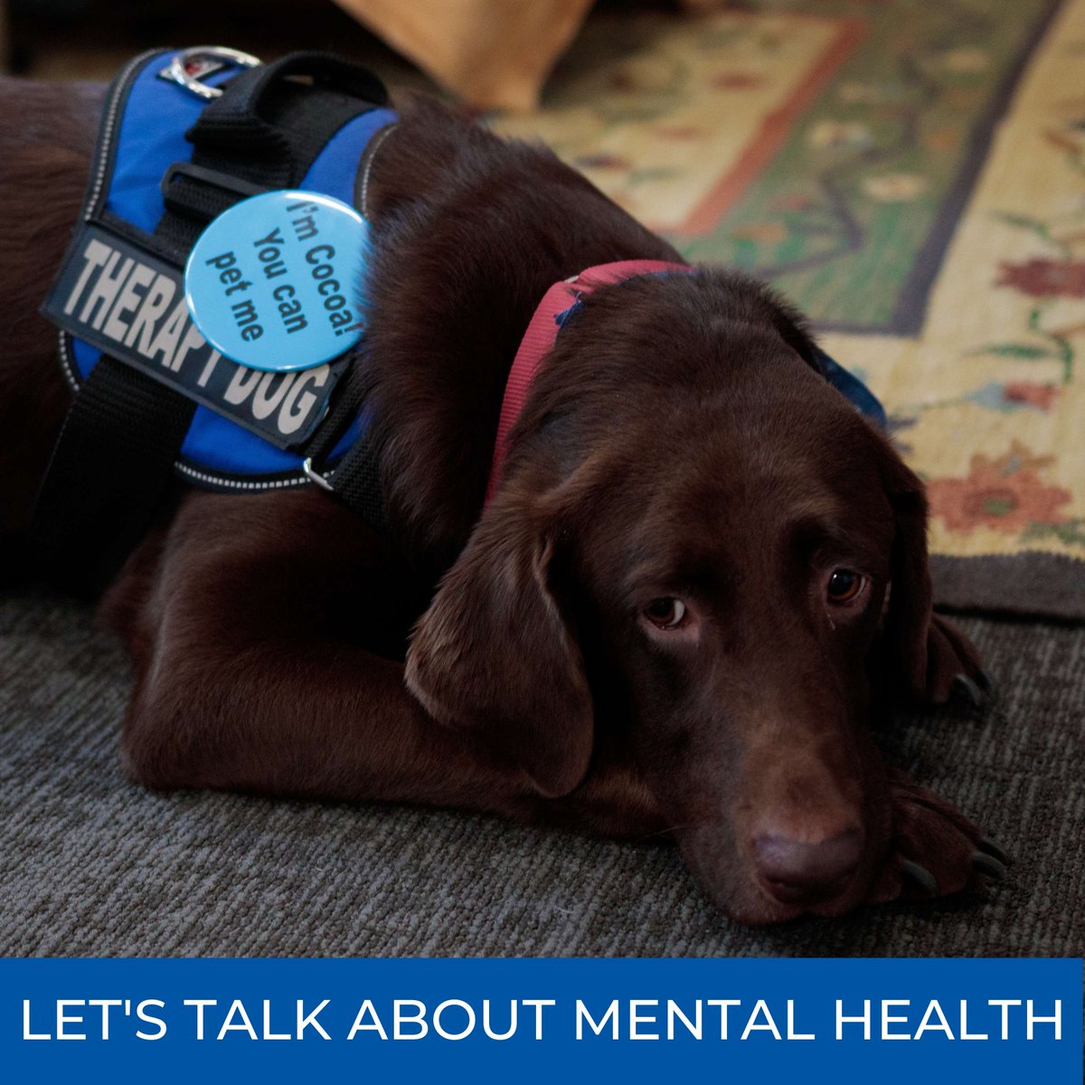 Creighton Admissions tweet media