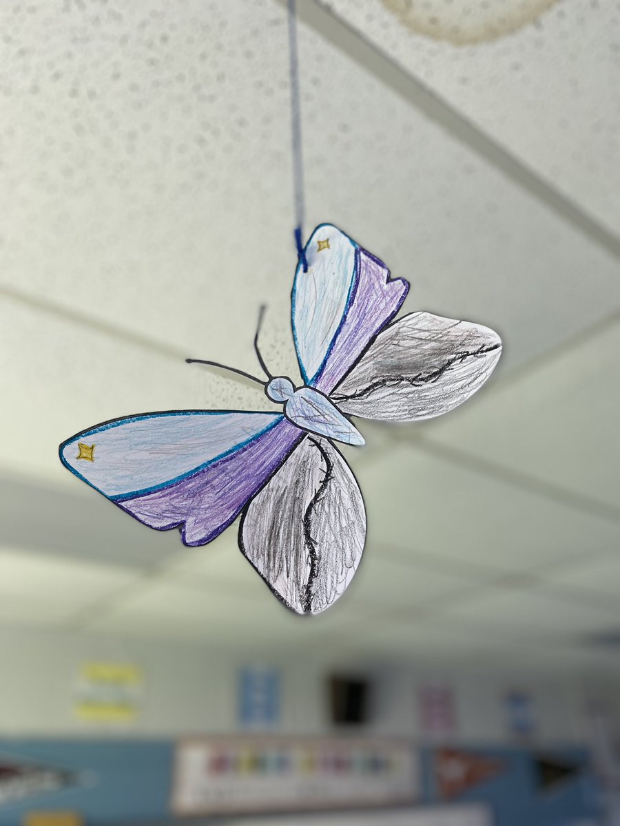 BrownELAR's tweet photo. Butterfly project happening in 8th grade RLA. These are being created to remember children who were lost from the Terezin concentration camp during the Holocaust. Our Night novel study begins next week!

@whatsnewatrjh @robinsonisd  #butterflyproject https://t.co/3WswKSKhev