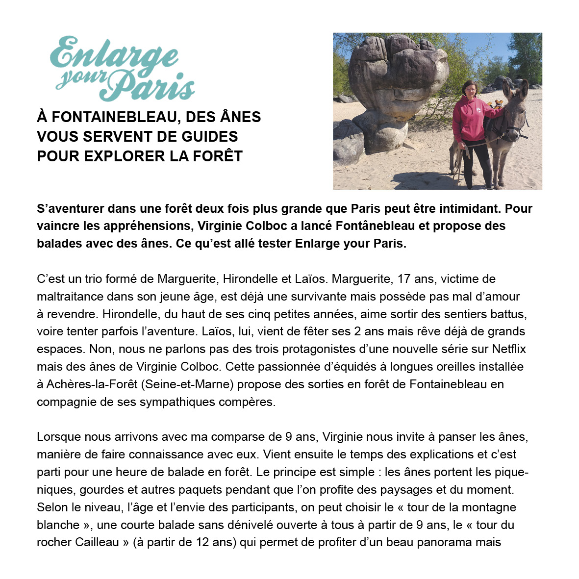 Fontânebleau tweet media