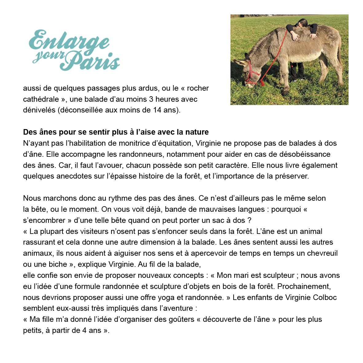 Fontânebleau tweet media