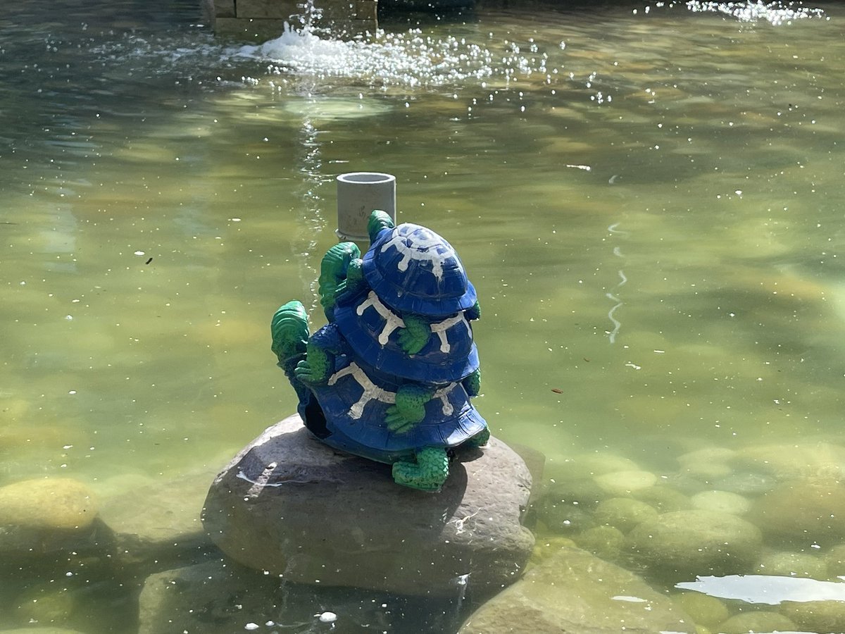 motonori_shindo's tweet image. 有名な Cluster API 君。他のカメ達と一緒に。1番小さい子は新入りの Aria 君というらしい^ ^ #VMwareTurtles #ClusterAPI