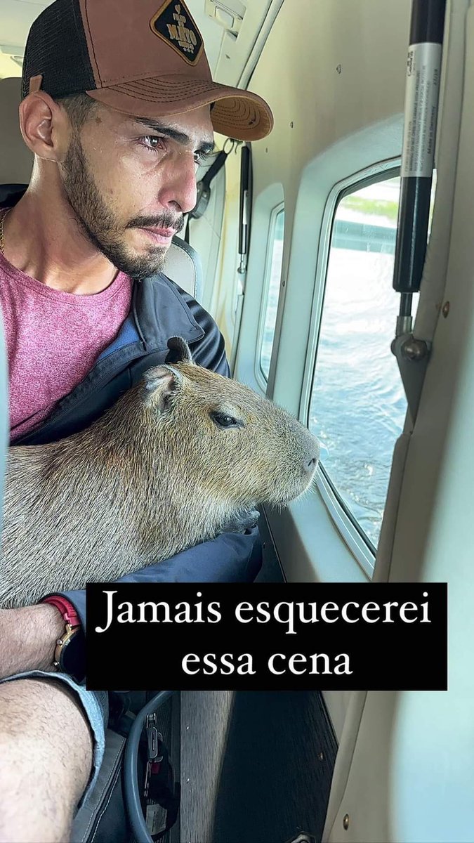 mfriasoficial's tweet photo. Como alguém pode achar que está fazendo o bem provocando tanto sofrimento? https://t.co/35bt3JwIbR