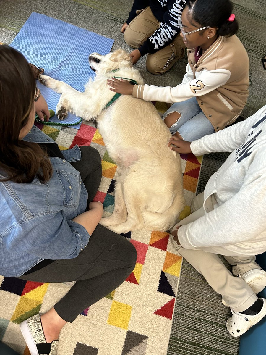 Landry 5th graders had a visit from a furry friend today to take a mental health break from test prep 🐾 <a href="/Cockerhame/">Eric Cockerham</a> <a href="/LandryLonghorns/">Tom Landry Elementary School</a> <a href="/CFBISD/">Carrollton-Farmers Branch ISD</a> #emotionalsupportanimal #cfbproud