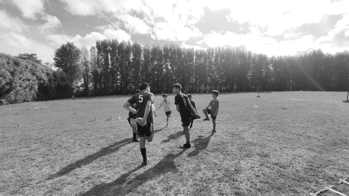 zeendrom tweet media