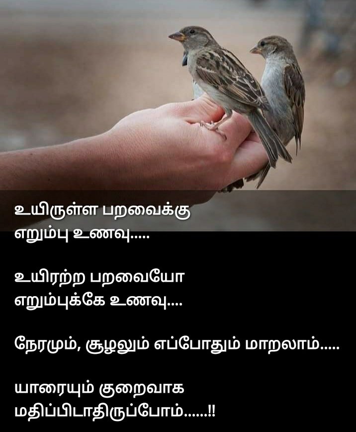 manicksiva20's tweet photo. https://t.co/ghuyEI8v5c
