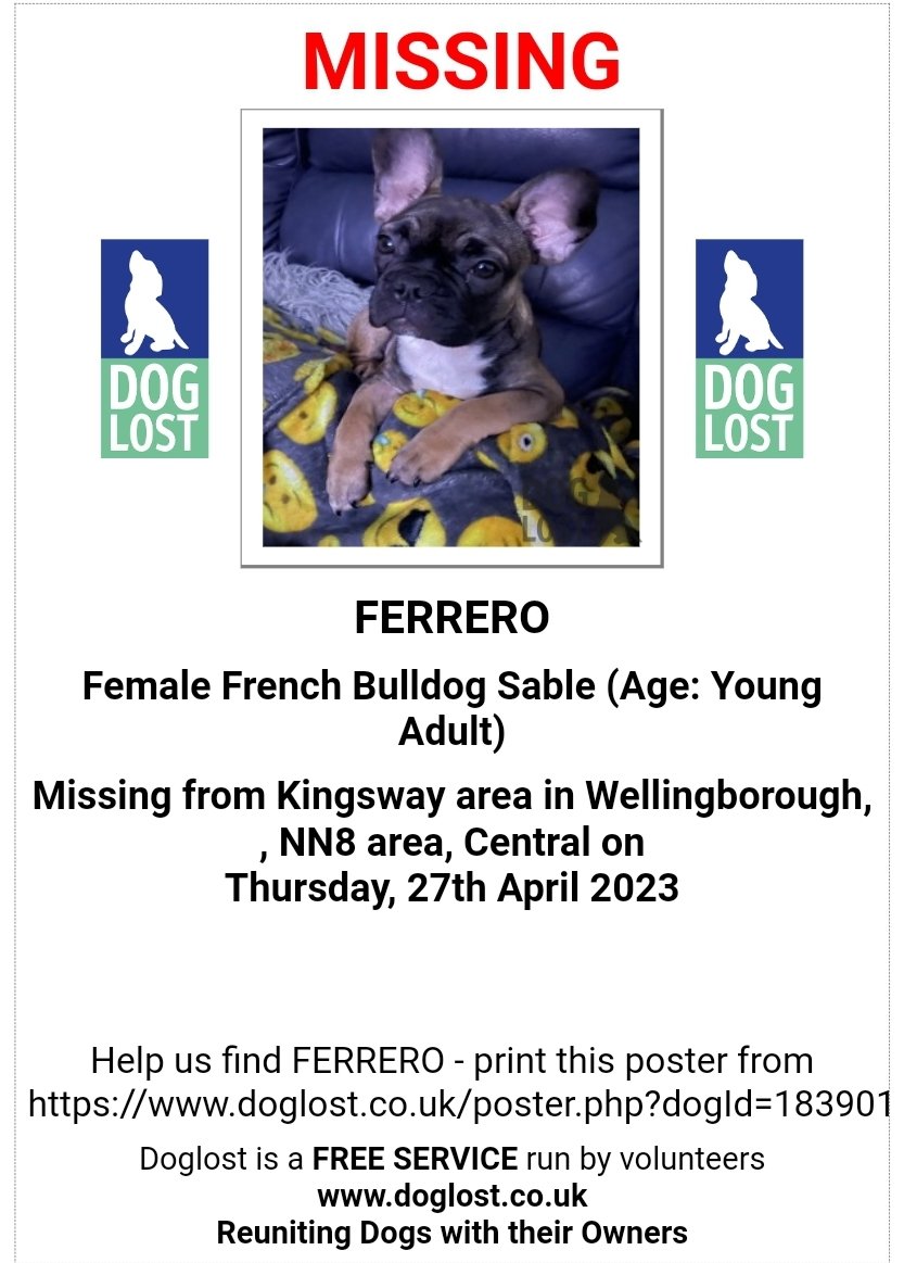 MissingPetsGB's tweet photo. 🐕 FERRERO #missing #FrenchBulldog from Kingsway, #Wellingborough #NN8 last seen Thursday 27th April 2023
She is chipped and has
Two White dots on the lower part of her head/back of neck. Please RT
https://t.co/UzlweF0rW7 https://t.co/7YQBf30Xuu
