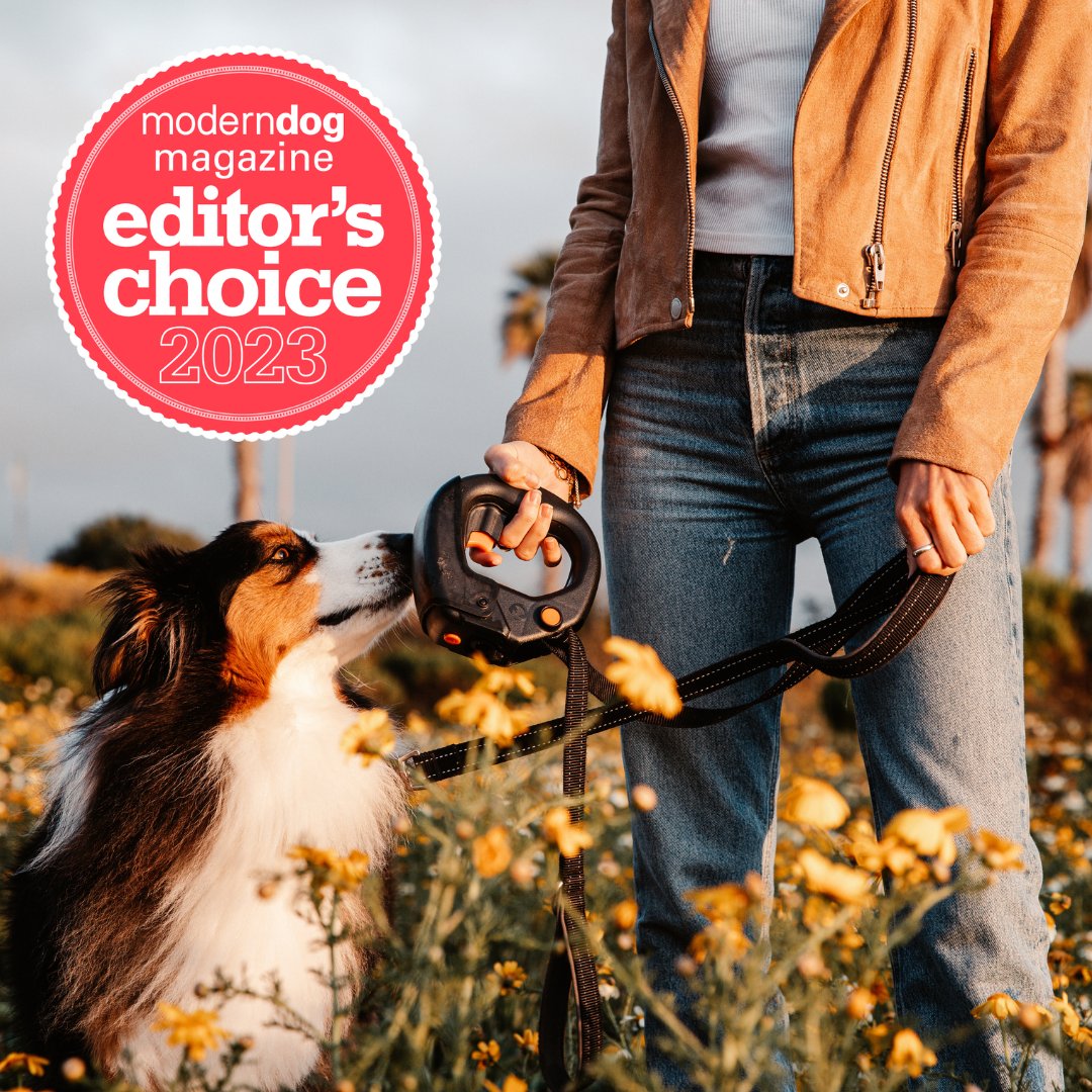 TailChasersLLC's tweet photo. @ModernDogMag has given us the outstanding honor of being among their 2023 Editor's Choice products! Can you say hip-hip-hooray!? 🥳🎉

#moderndog #moderndogmagazine #editorschoice #petproducts #smallbusiness #spleashyourleash #dogs #pets #doglovers #dogwalking #magazine https://t.co/qzi3xShsdn