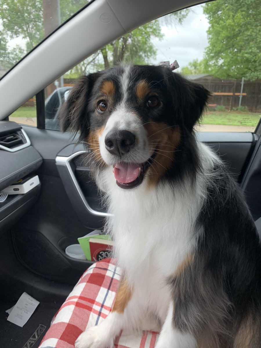 kendalltreece's tweet photo. Happy Birthday, @abbiewin44!!! Enjoy this dog! https://t.co/brLAaj5tSz