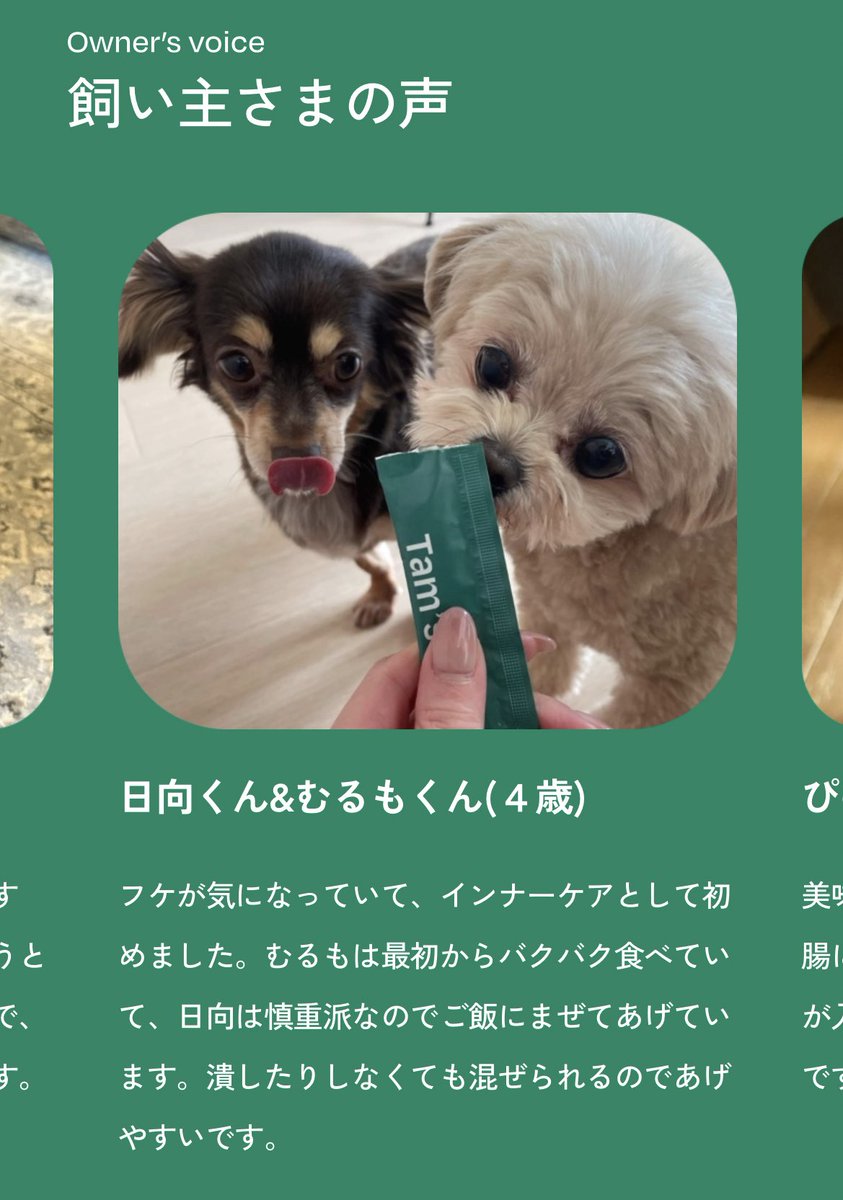 fjkn_8723's tweet photo. https://t.co/MMuoIXsECG

元同居人のせーなさんがついにサービスリリース💚 @Tams_pet 

サイトが超素敵なのと、うちの日向とむるもも出演してるの🐶

使い続けて日向のフケとむるもの目やにが良くなるといいなー https://t.co/PjWKbYJNLZ