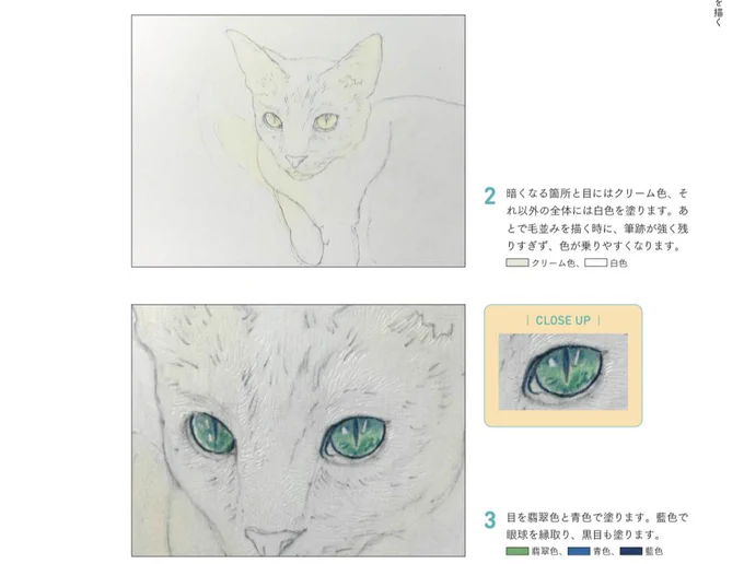 色鉛筆で描いたロシアンブルー。13色で10時間程。  #色鉛筆画上達ドリル動物編 #ロシアンブルー #イラスト