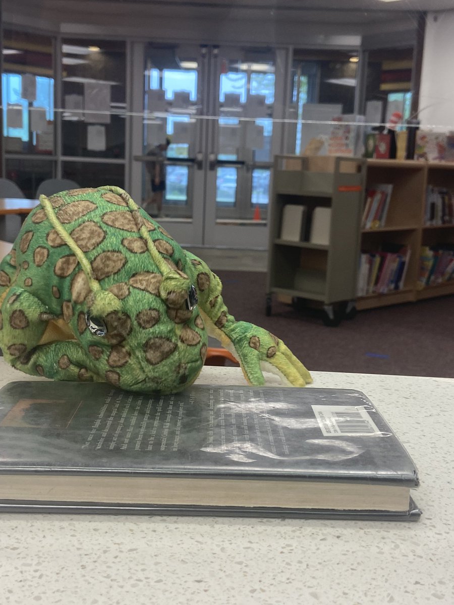 Rita Harvey tweet media