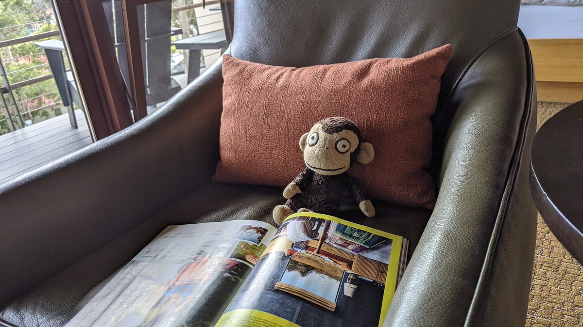 jaybeans's tweet photo. @TheoMonkey is enjoying the hotel https://t.co/auzPjSi3Es