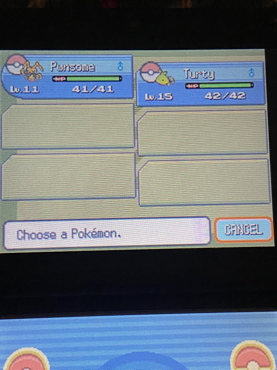 Pearl play through going great, I love Pokémon sinnoh. The troops so far 🐛 🐢