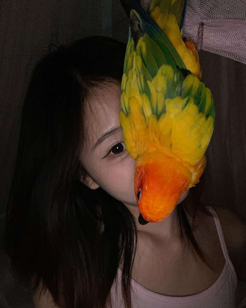 Yuri_69s's tweet photo. ง่วงแล้ว มากอดกัน 🫂💦
ฝากกดติดตามด้วยน้า ไม่กดตีมือนะ 🥹
#หาคนนอนด้วย #เหงาหาเพื่อนคุย 
#เหงาเงี่ยน https://t.co/bXNWaYTZW1
