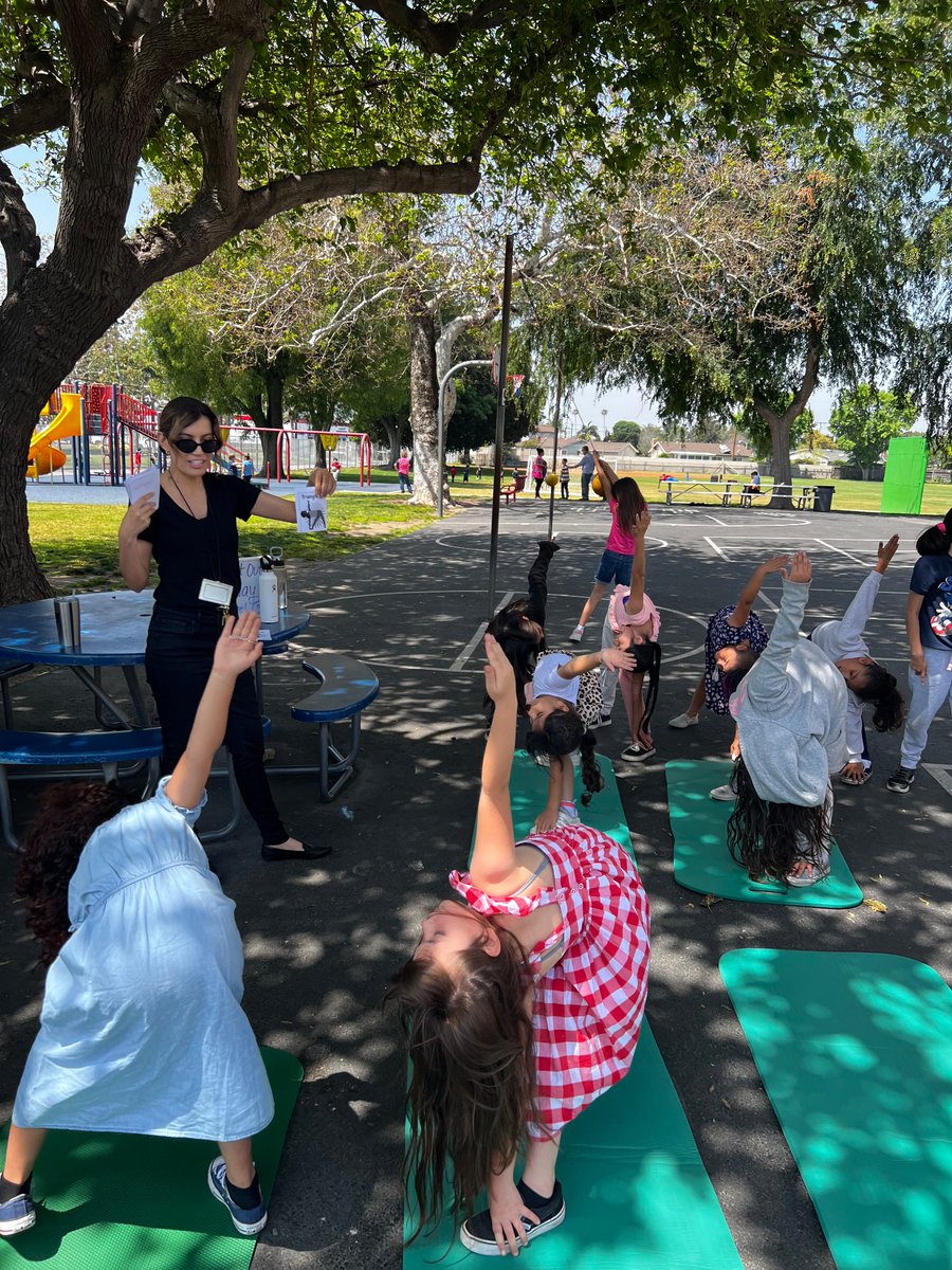 FSD CCSPP tweet media