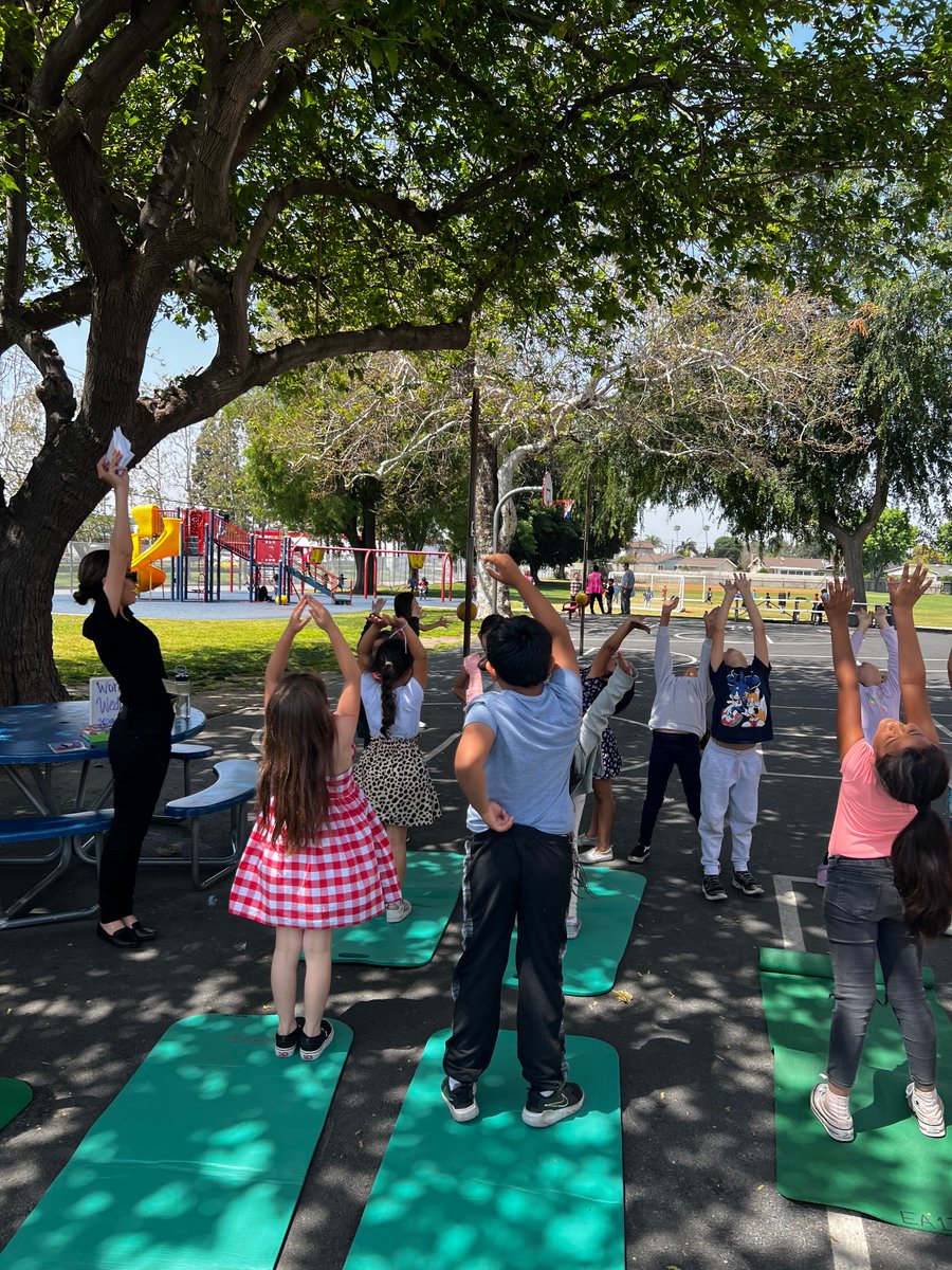 FSD CCSPP tweet media