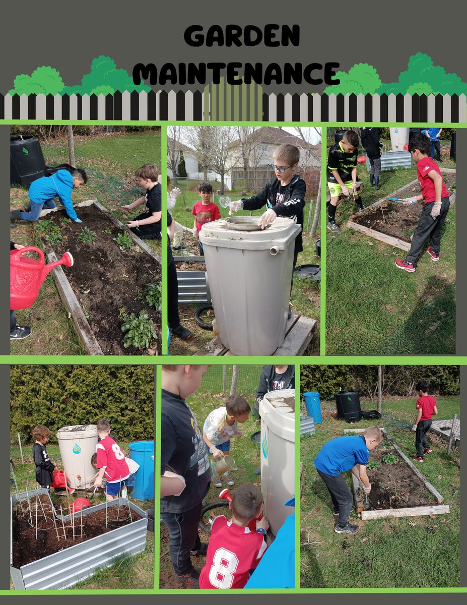 PD day fun! The school agers planned on cleaning up the garden, making the bed, picking up earth worms and watering the plants. Their team work and tenacious efforts made them natural gardeners. 🌱